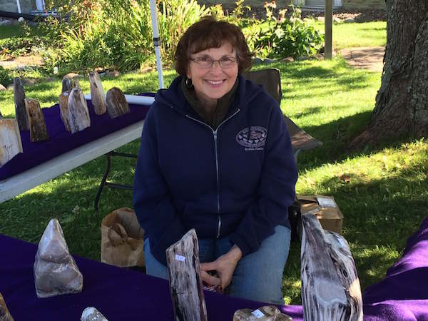Two Harbors 2015 Gem and Mineral Show: Petrified Wood Pillars